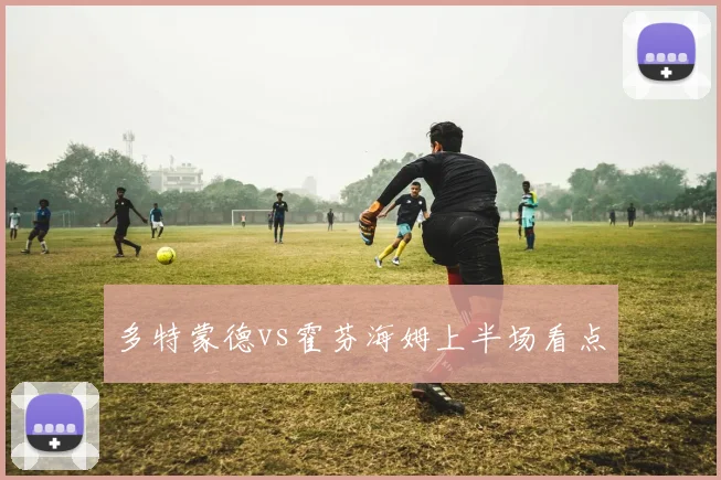 多特蒙德vs霍芬海姆上半场看点