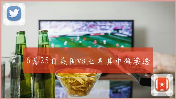 6月25日美国vs土耳其中路渗透