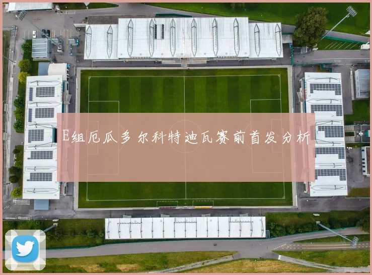 E组厄瓜多尔科特迪瓦赛前首发分析