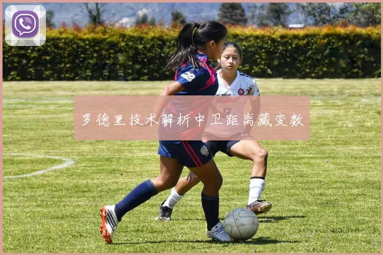 罗德里技术解析中卫距离藏变数