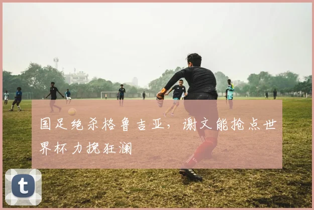 国足绝杀格鲁吉亚,谢文能抢点世界杯力挽狂澜