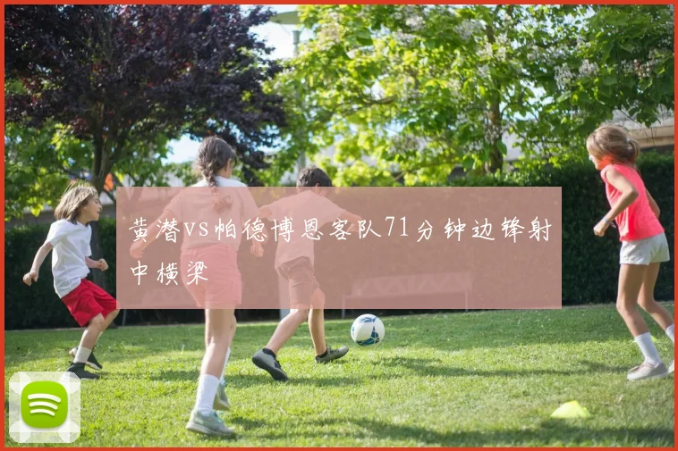 黄潜vs帕德博恩客队71分钟边锋射中横梁